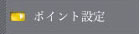 ポイント設定